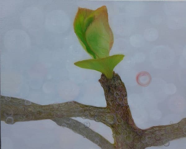 Sprout20, Oil on canvas, 53 x 40.9cm, 2014