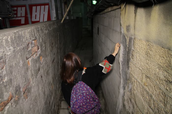 원래 제가 오렌지색 머리를 하려고 했었는데요 4
