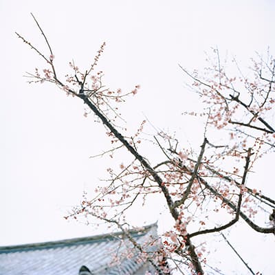김병훈 개인전 : 유진 幽眞
