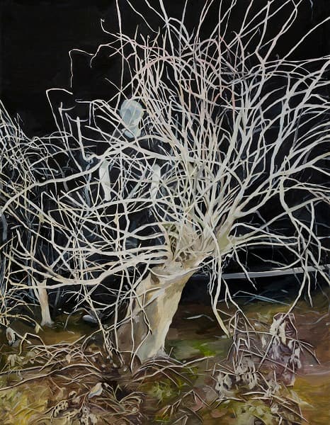 박두리, <Conte#1>, 캔버스에 혼합재료, 116.8×91cm, 2017