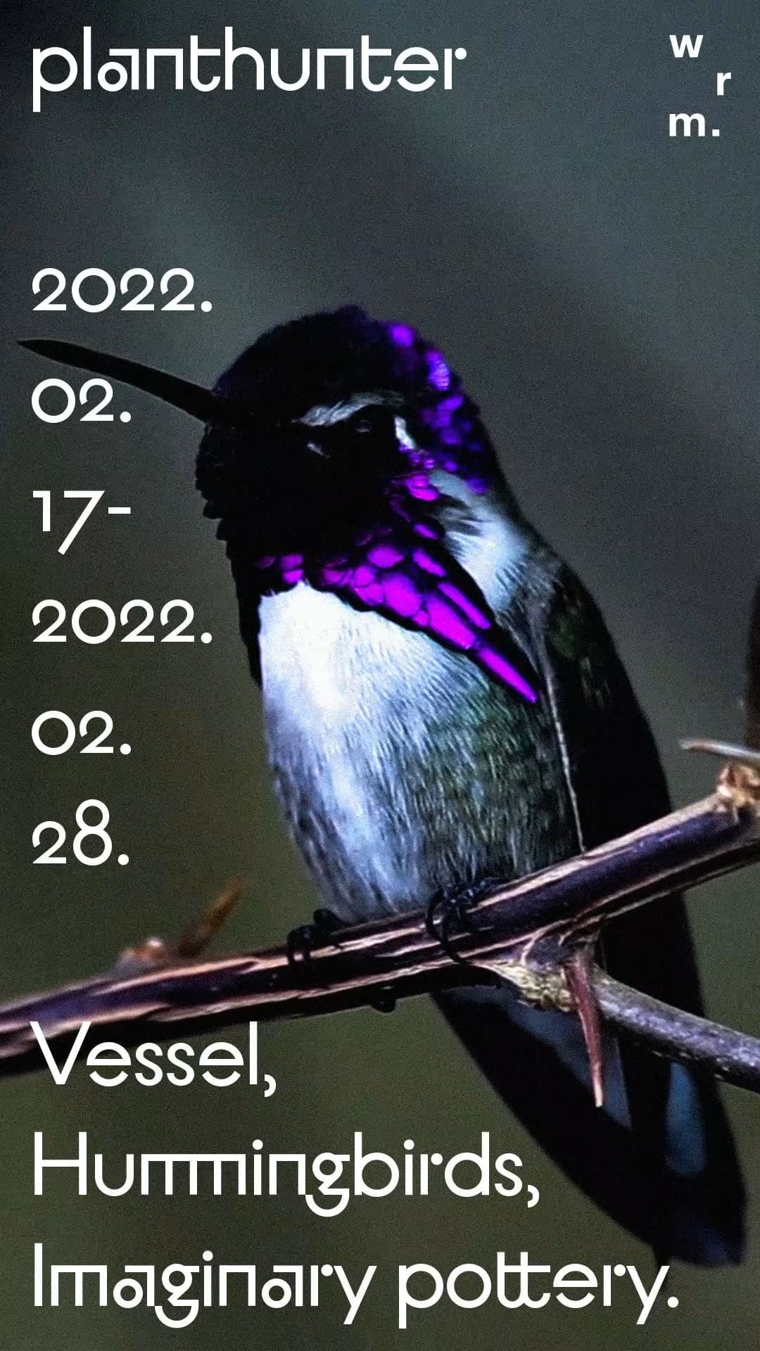 planthunter vessel, hummingbirds, imaginary pottery. 1