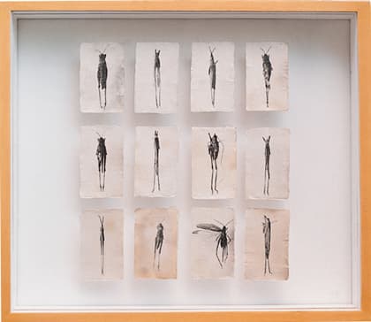 굿바이 파라다이스(상자), 1993