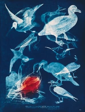 굿바이 파라다이스(블루시리즈), 1993