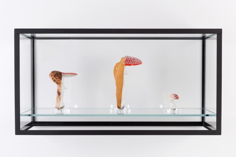Carsten Höller. Double Mushroom Vitrine (Threefold), 2015. Cast polyurethane mushroom replicas in various sizes, acrylic paint, glass discs, metal pin