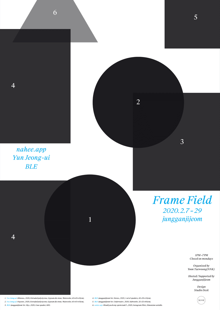 Frame Field 1