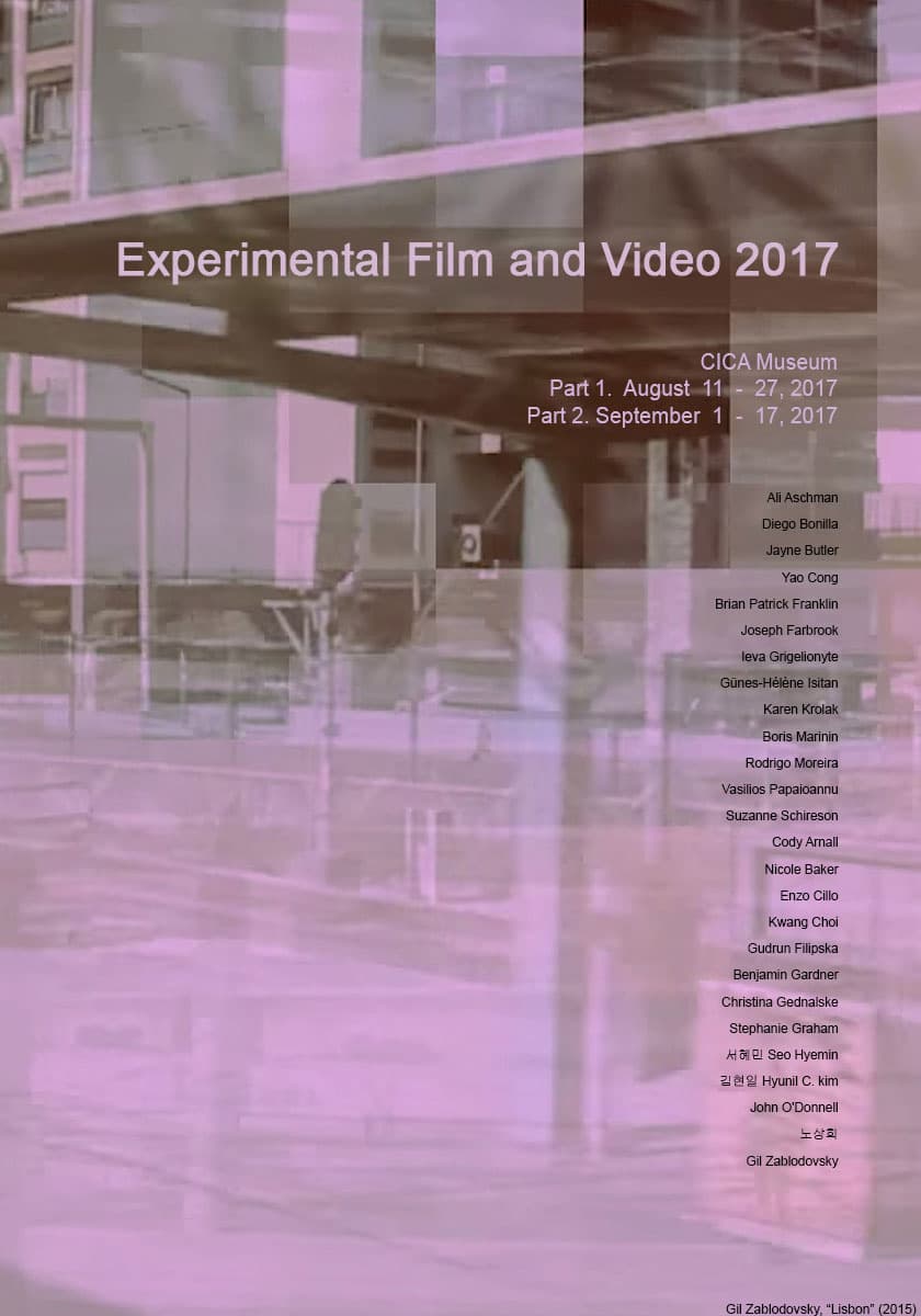 Experimental Film and Video 2017 1