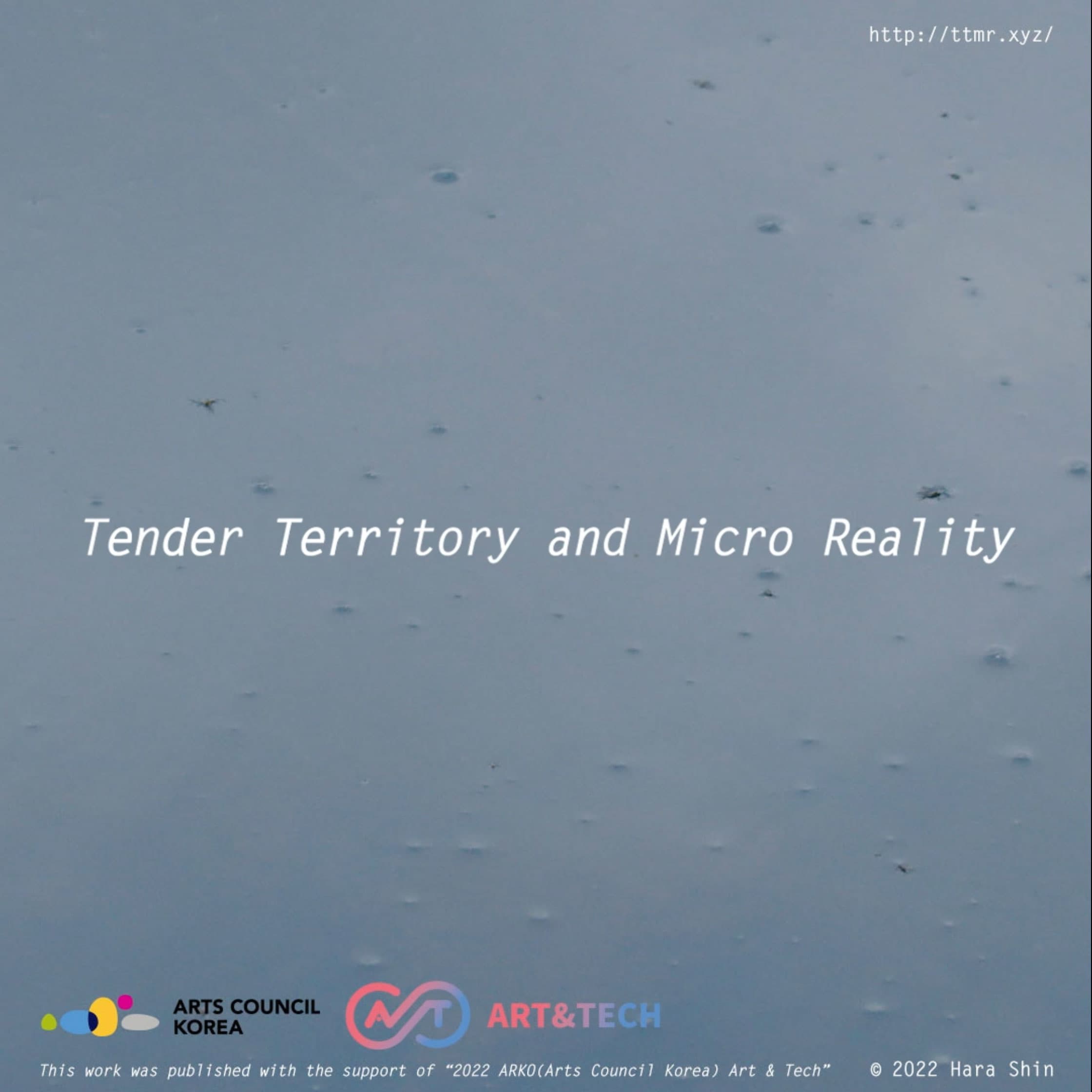 신하라 개인전: Tender Territory and Micro Reality 1
