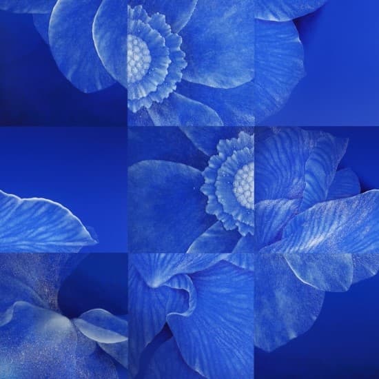 나진숙_The Silver-Wave-Blue Flowers 2015_ resin, acrylic on board_300x300x5cm_2015