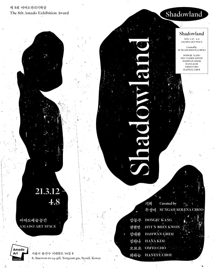 제8회 아마도전시기획상 : Shadowland 1
