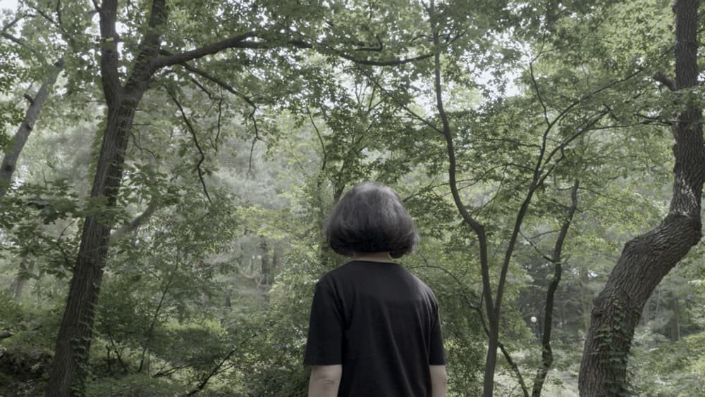 박지혜, 그곳에 아무도 없다 no one is there, 싱글채널비디오, 23:52, 2019, 영상 스틸