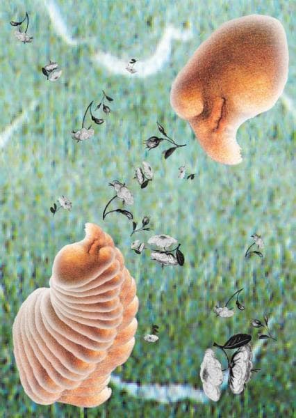 김현진, Collage for birth of myth and V letter, 2017
