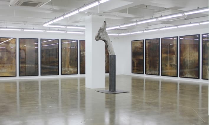 CI KIM : THE ROAD IS LONG