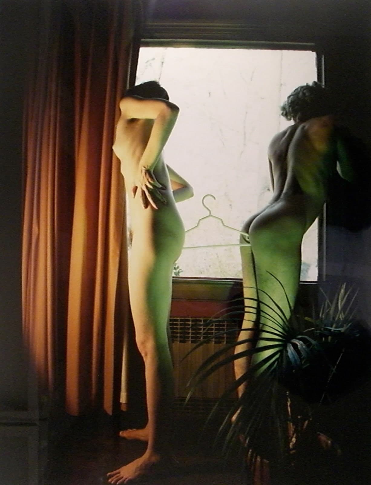Jimmy DeSana: Subversions 1
