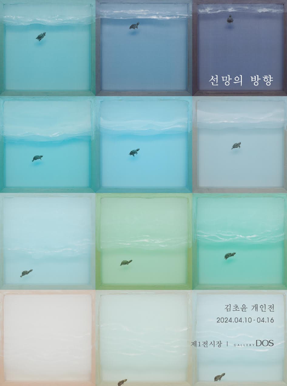 김초윤: 선망의 방향 1