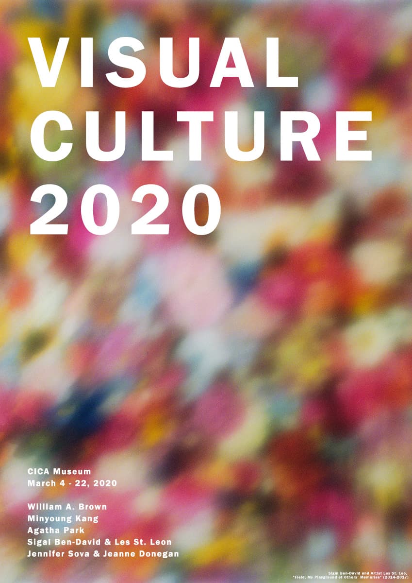 Visual Culture 2020 1