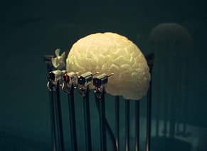 윤영석, 향기로운 뇌1, 2002