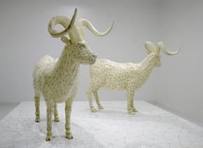 윤영석, 표본실의 양들, 2007