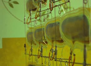 윤영석, 애저농원 프로젝트, 2000