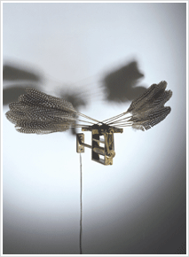 깃털 날개  Feather Wings ,1992 45×28.8×20  깃털, 금속 구조물, 모터   ⓒ Rebecca Horn / BILD-KUNST, Bonn - SACK, Seoul, 2007