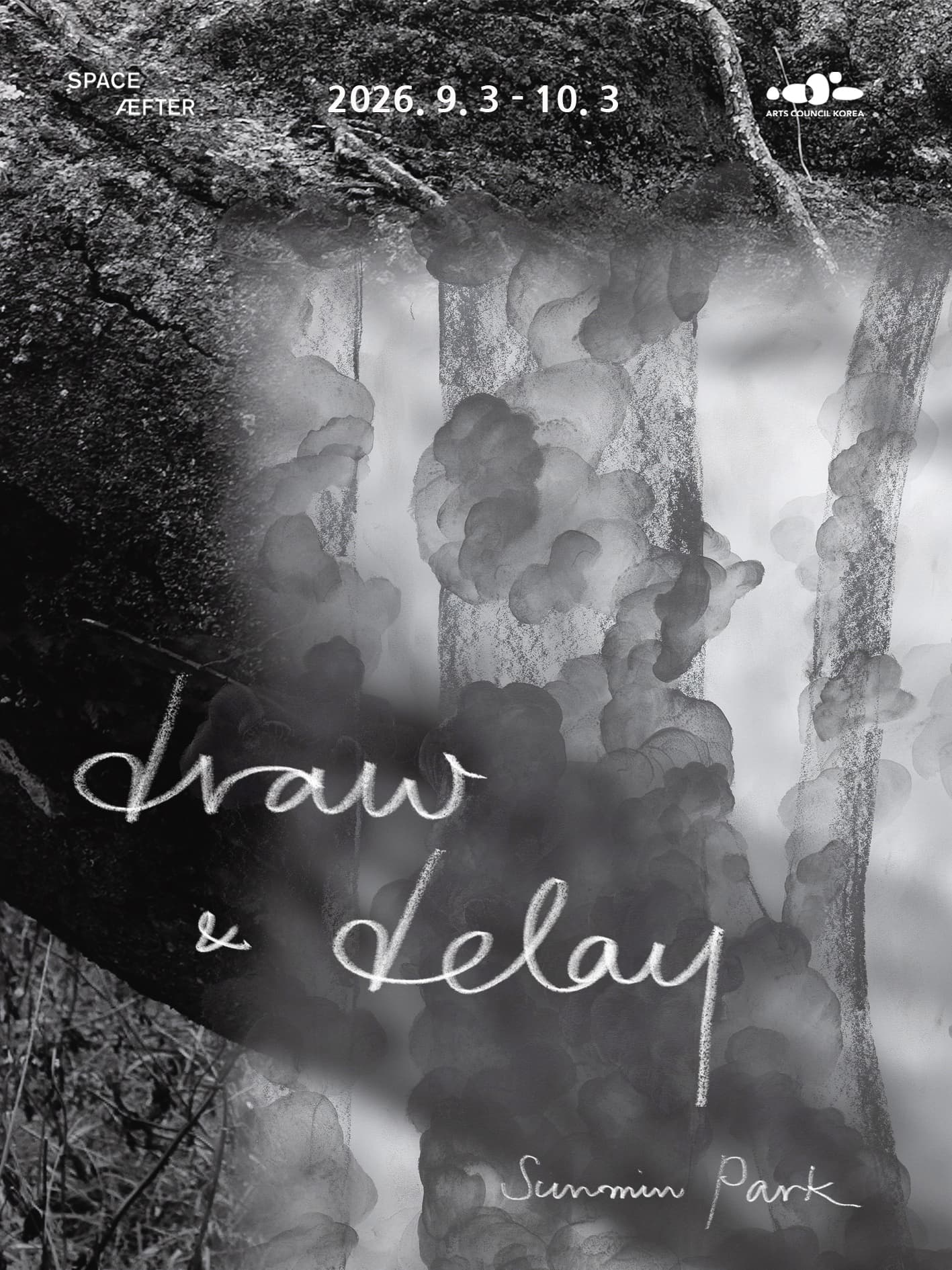 박선민: Draw and Delay